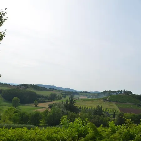 Patrizia モンカルヴォ